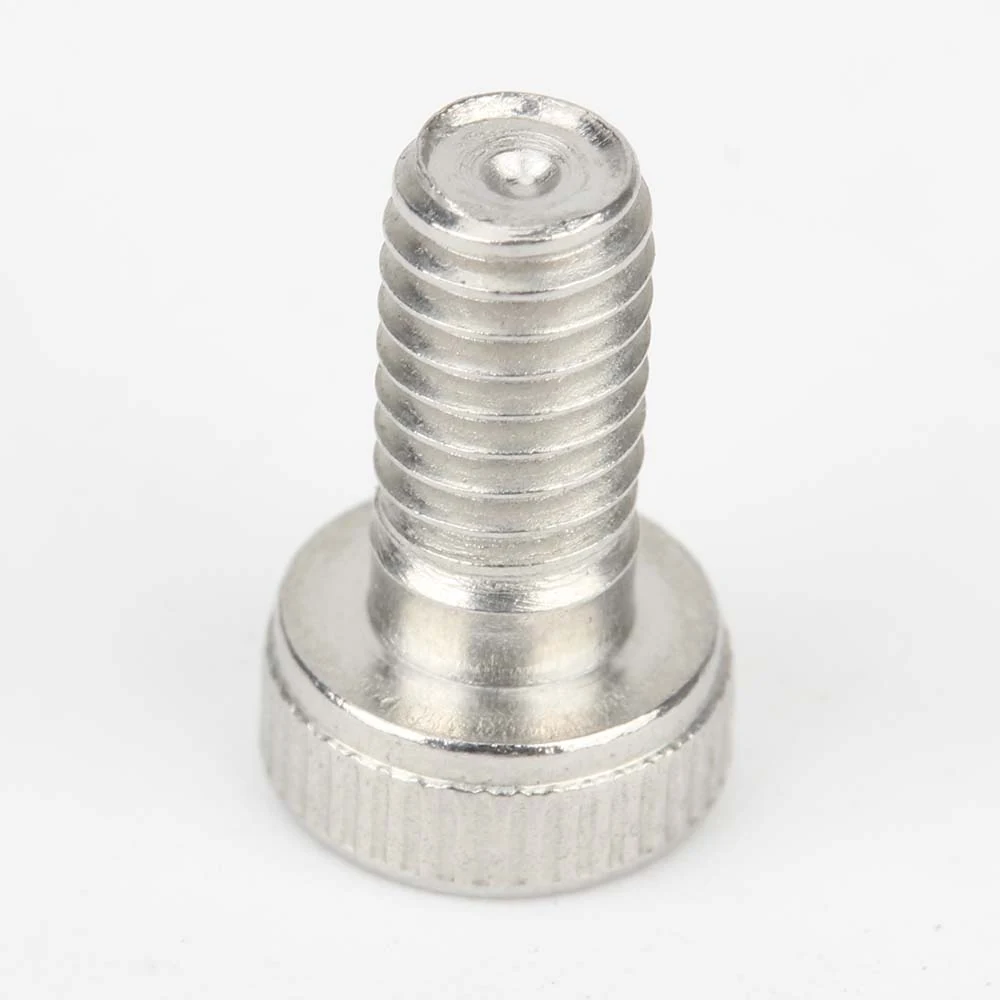DIN 6912 Stainless Steel Socket Head Screws with Pilot Recess - actual product view 2