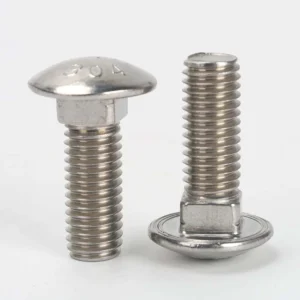ANSI B18.5 Stainless Steel Round Head Square Neck Carriage Bolts - actual product view 1