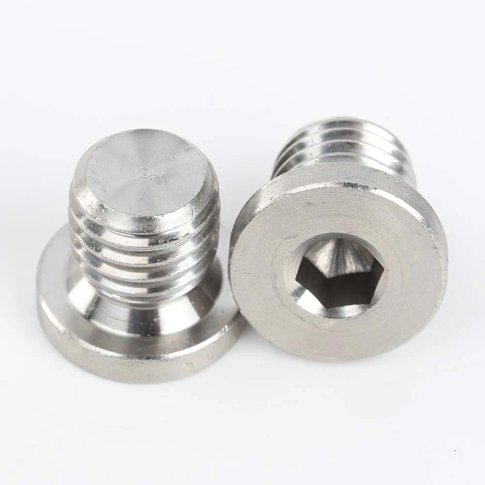 DIN 908 Stainless Steel Hexagon Socket Collar Plugs - product view 1