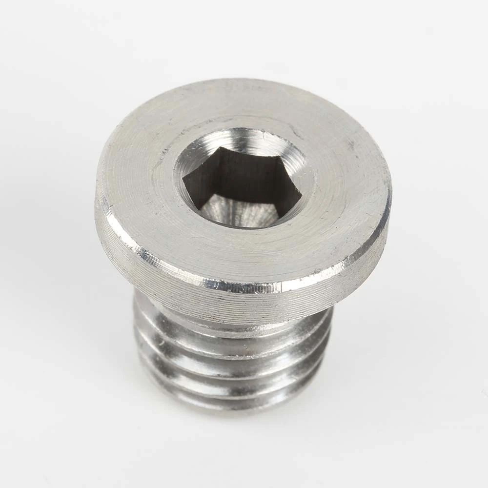 DIN 908 Stainless Steel Hexagon Socket Collar Plugs - product view 2
