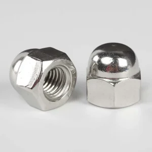 TONG DIN 1587 stainless steel hex cap nuts showing the domed end and internal thread