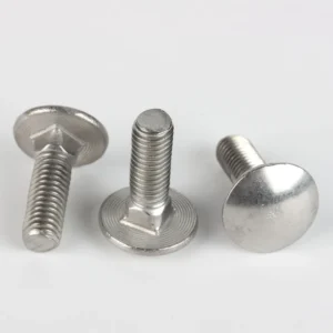 DIN 603 stainless steel carriage bolts showing round heads and square necks