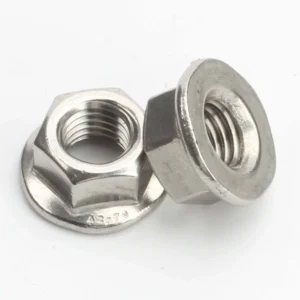 DIN 6923 stainless steel plain flange nuts showing the smooth non-serrated bearing face