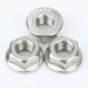 TONG DIN 6923 stainless steel serrated flange nuts showing the toothed bearing face and thread